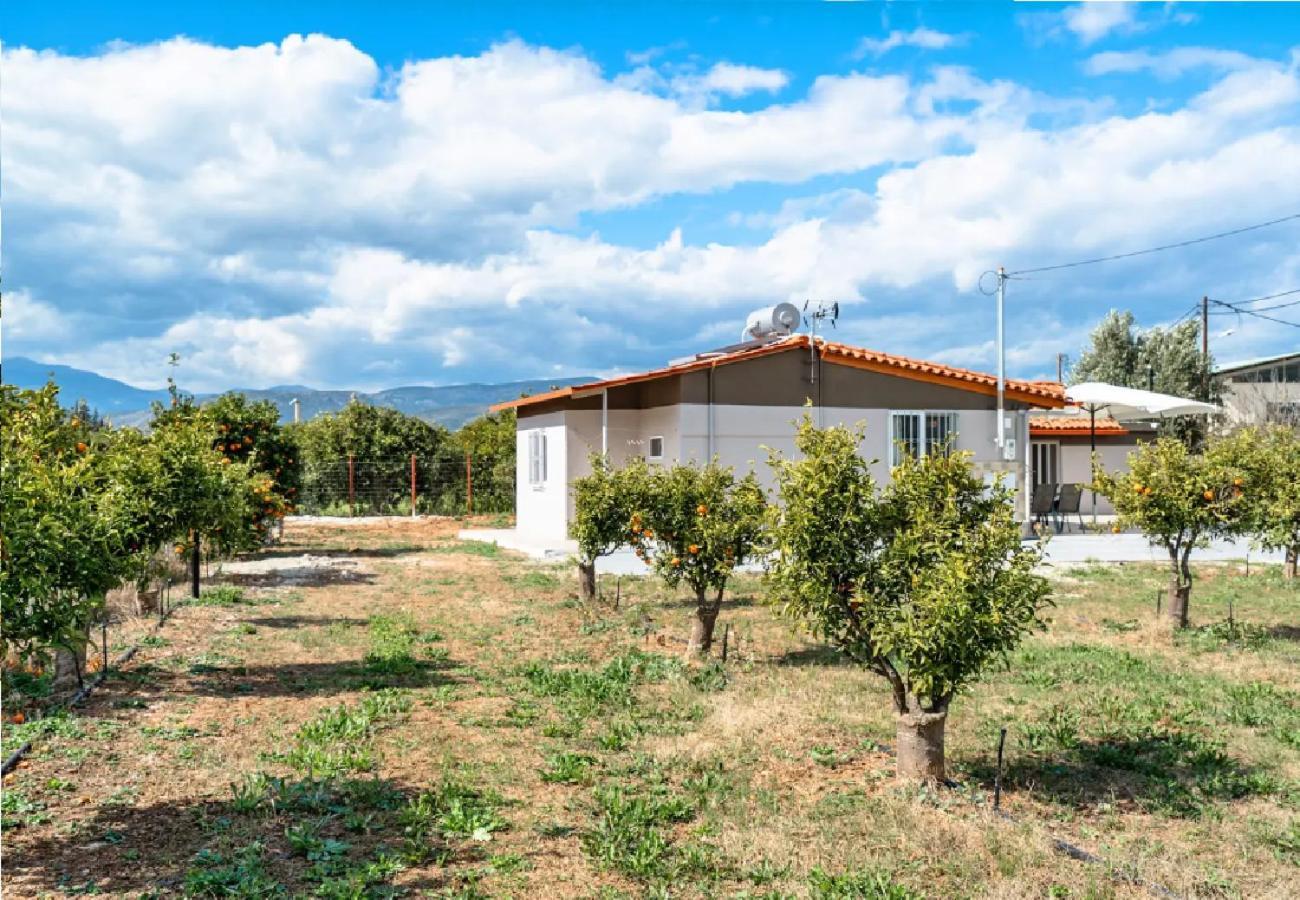 Dalamanara Angela Apartment מראה חיצוני תמונה